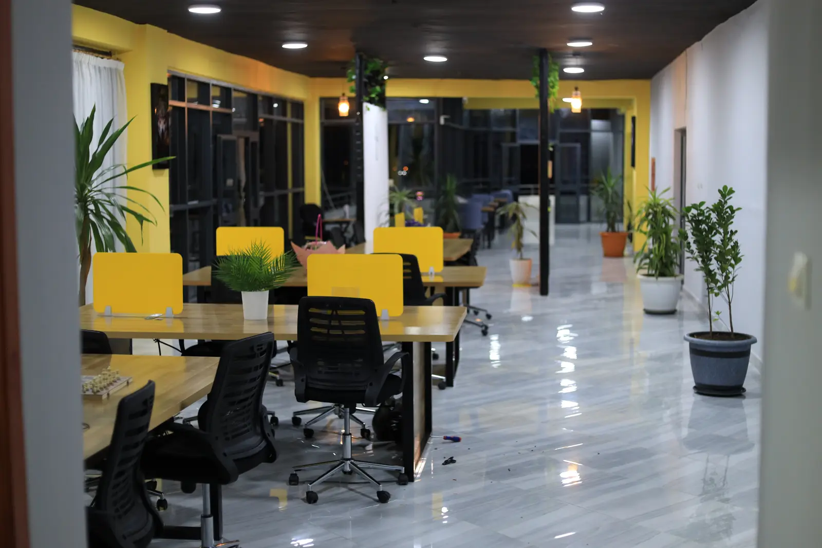 Rows of co-working desks with yellow dividers and plants
